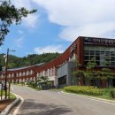 봉양로-1 이미지