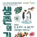 산악관련 전화카드 투어코리아