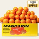 오렌지 이미지