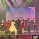 봄밤음악회 이미지