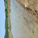 모내기끝 이미지