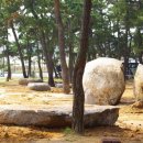 경포해변중앙통로 이미지