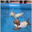 소중한아이들유치원 이미지