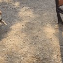 덕수공원 화장실 이미지