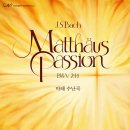 진가세소리 이미지