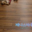 한솔음악학원 이미지
