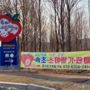 &#34;흰 딸기가 더 달고 맛있네요&#34;··· 속초 소야딸기