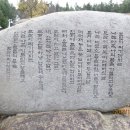 강진-19 이미지