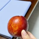 옛날그시절화덕찜닭(월성점) 이미지