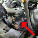 (주)하마모터스 이미지