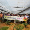 윤미농장 이미지