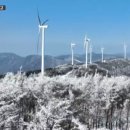 횡성우시장정육점