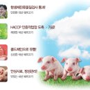 한돈 이미지
