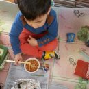 한닢김밥 이미지