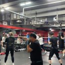 홍수환 JR복싱 이미지