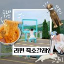 신일아파트 삼거리 | 묵호 뚜벅이 나홀로 여행 프로그램 &#39;뚜벅아, 라면묵호갈래?&#39; 논골담길 묵호시장 삼본아파트 도째비골