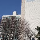 강남-161 네이버블로그