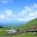 백두산삼계탕 이미지