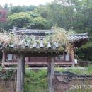 위태경로당 Daum카페
