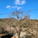 곡성-259 이미지