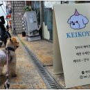 케이코야 이미지