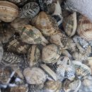 황포펜션 이미지