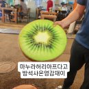 장춘향 | 육지사람 제주민속오일시장 [춘향이네]다녀온 후기