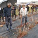 무주 농원 이미지