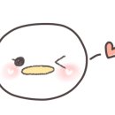 꼬꼬야치킨 이미지