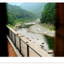 성산교회 앞 버스정류장 이미지