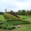 여미지식물원 이미지