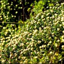 하늘과바람의호수 이미지