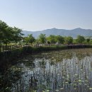공단 하수 물길 돌림 공사 이미지