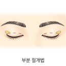 외꺼풀[Oriental eyelid] 이미지