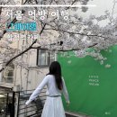합정역 카페 그레이랩 만개한 벚꽃 주말 방문 후기