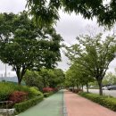 부산지방공단스포원 실내테니스장 | [부산테니스장]스포원파크 실외테니스장 탐방 후기