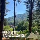 라온숲유치원 | 국립 춘천 숲체원 아이들 놀거리 총정리
