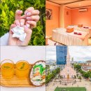 마녀의레몬향기 | 다낭 마사지 추천 네일아트 핑크스파 가격 할인