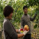 낙산농장 이미지