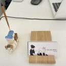 우주개스타 이미지