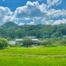 논밭