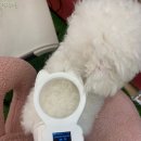 숲 동물병원 펫스테이션점 네이버블로그