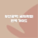 그림같은광택 | 부산광택: 새차처럼! 완벽 가이드