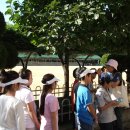 심원초등학교2 이미지