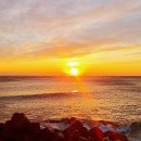 동해일출 | 동해 일출 명소 강구항 해돋이 2026 새해 후기