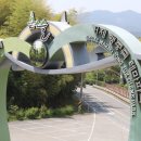 맹종죽테마파크1 이미지