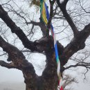 삼신사 | 홍성 삼신사 기도도량