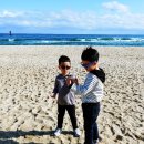 경포대 산호 펜션 이미지