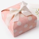 배꼽시개 이미지