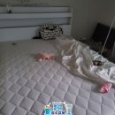 마동주공1단지아파트 이미지